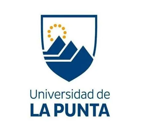 Técnico en Desarrollo de Software